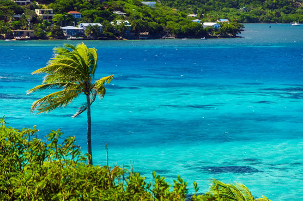 San-Andres-y-providencia-palmera.jpg