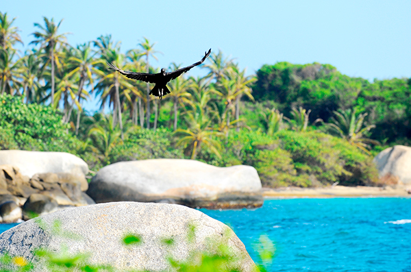 Viajes a Santa Marta con los ahorros programados sin intereses de CVU
