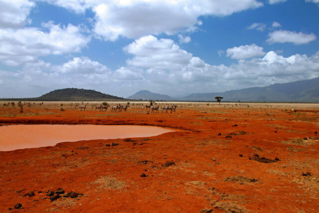 kenia11.jpg