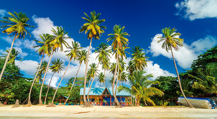 san-andres-25.png